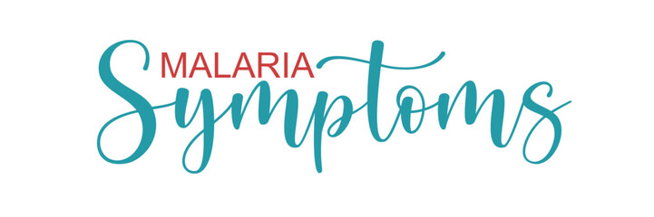 Malaria Symptoms hand lettered typography isolated on white background, elegant medical awareness text design for healthcare posters, presentations and disease education materials © Kay