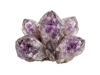 Fototapeta premium Purple amethyst quartz cluster geode healing crystal raw