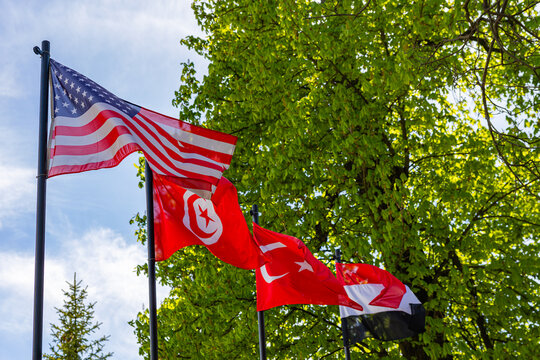 US Tunisian Turkish and Egyptian flags waving together against blue sky and trees