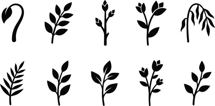 Verschiedene stilisierte Silhouetten von Pflanzen, Bl&auml;ttern und Zweigen auf wei&szlig;em Hintergrund, ideal f&uuml;r botanische Designs.