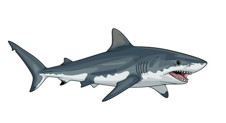 Fototapeta premium Powerful and aggressive illustration of a great white shark, mouth open with sharp teeth, capturing its predatory nature and strength in a dynamic pose.