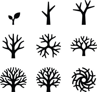 Entwicklung eines Baumes von einem Spross bis zu verschiedenen Aststrukturen und einer stilisierten Form.