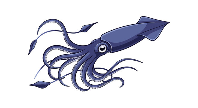Dynamic vector illustration of a squid swimming, highlighting its streamlined body, large eyes, and flowing tentacles on a pure white background.