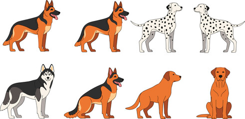 Dog breeds collection vector set. German shepherd, dalmatian and husky illustrations. Domestic pet animals in different poses. Cute canine characters. © ALFINI