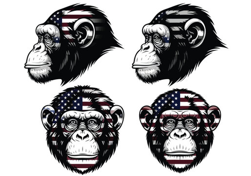 Four strong ape heads with american flag pattern grunge texture vector illustration set, chimpanzee