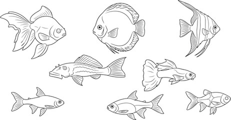 Obraz premium Hand drawn fish collection line art. Tropical aquarium and freshwater species set. Black and white outline illustrations. Marine life sketch icons.