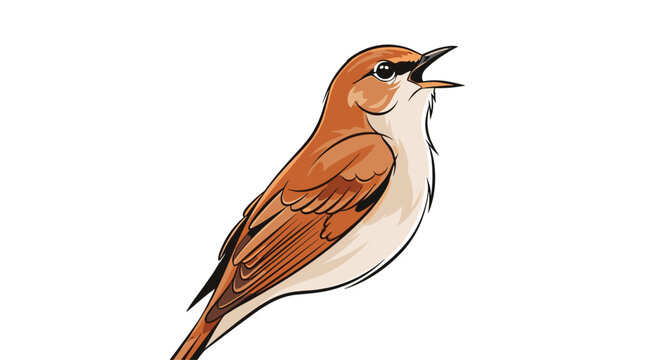 Charming cartoon-style vector illustration of a nightingale bird singing, showcasing its warm brown plumage and open beak against a white background.