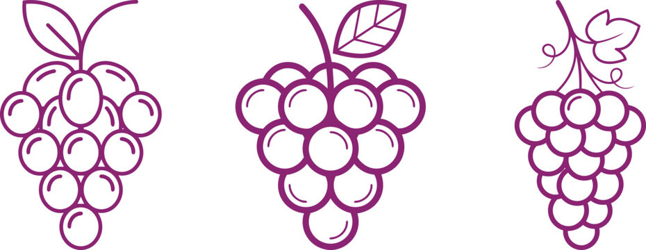 Minimalist and modern logo grapes and vines in purple silhouette