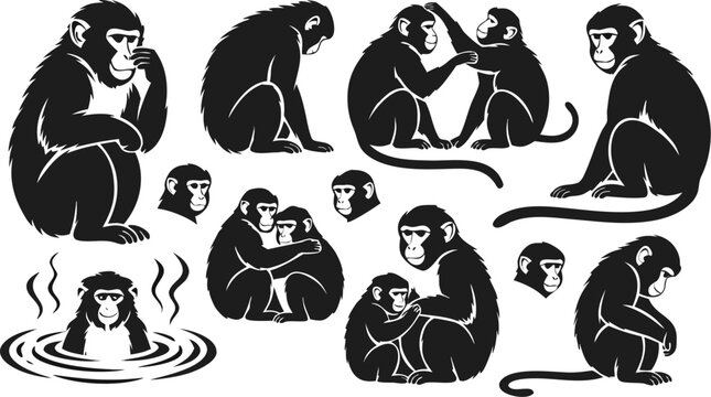 Japanese Macaque Monkey Group Silhouette Vector Set Various Poses Bundle