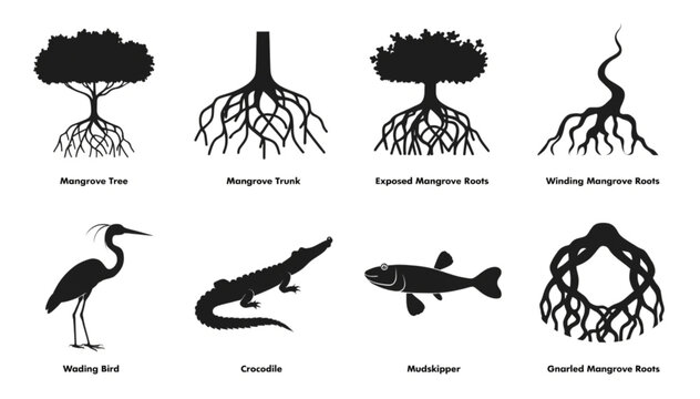 Mangrove Tree Trunk Root Crocodile Wading Bird Mudskipper Silhouette Vector Set