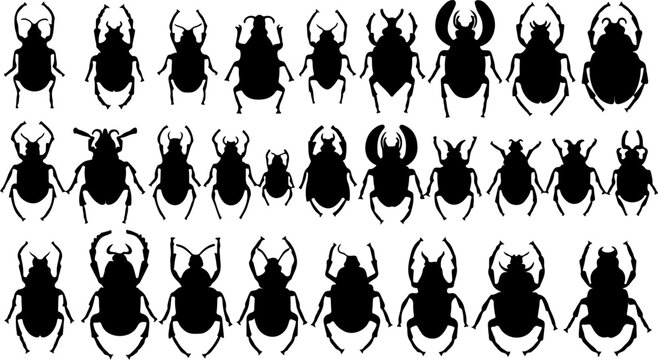 Black Silhouette Beetle Scarab Bug Vector Collection Entomology Wildlife Icon Set