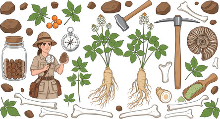 Exploration Illustration with Fossils, Adventure Gear, and Botanical Finds for Nature Lovers and Scientific Discoveries © MdGohurul