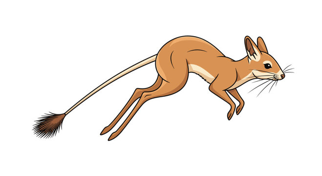 Dynamic cartoon-style vector illustration of a jerboa leaping, highlighting its long hind legs and distinctive long tail, a desert rodent.
