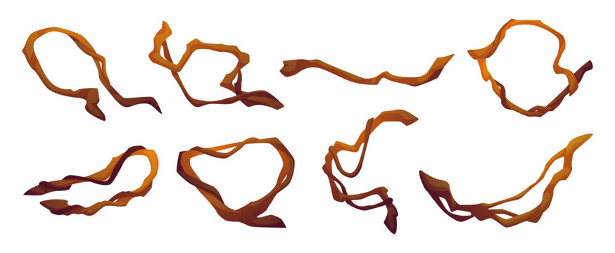 Jungle lianas. Tropical branches. Curves vine stems. Intertwining curly twigs of exotic plants. Rainforest tree trunks. Botanical ivy. Twisted woods. Climbing creepers. Vector natural elements set