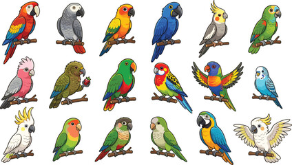 Colorful parrot species collection with macaw, cockatoo, budgie, and lovebird for tropical bird vector illustration © VectoVerse