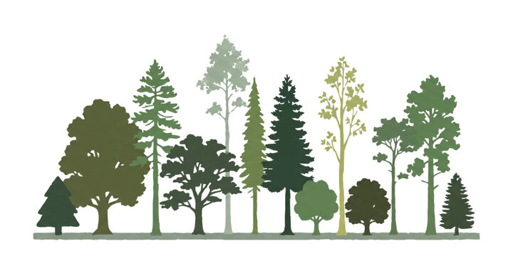 Set of various green and grey forest trees including pine spruce oak and cedar silhouettes in a line