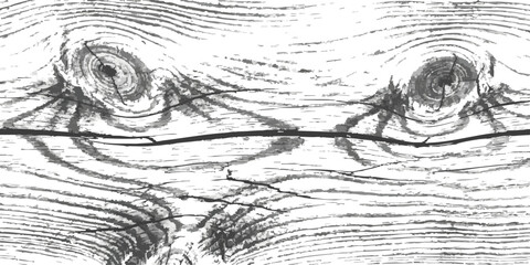 Fototapeta premium Black and white ink sketch illustration of wood grain texture with natural knots and organic line patterns