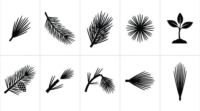 Black pine needle silhouettes, set of 10 conifer branch vector icons, minimalist evergreen foliage elements for winter and forest branding