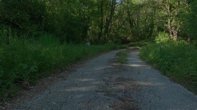 "Dirt road through lush green forest in Molise, Italy - Volturno River valley"