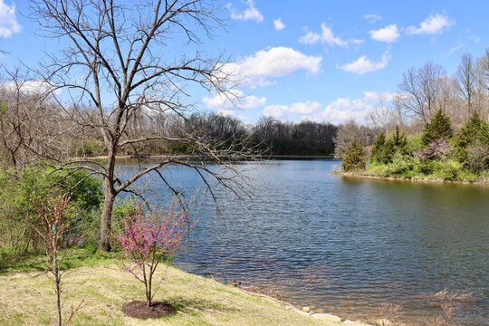 The beautiful lake in the country on a sunny day.