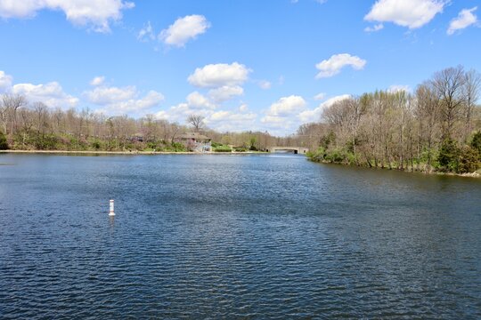 The peaceful lake in the park on a sunny day.