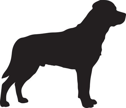  Rottweiler in silhouette on white background.