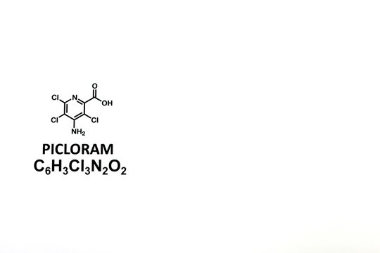 Picloram Molecular Structure Diagram