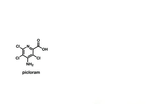 Picloram Molecular Structure Diagram on white background. Space for text. 