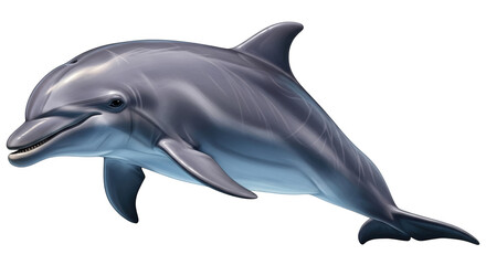Obraz premium A digital of a grey bottlenose dolphin swimming, showing smooth skin, dorsal fin, and flippers, isolated on transparent background