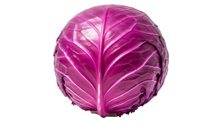 Fototapeta premium Vibrant Purple Cabbage Showcasing Its Intricate Leaf Patterns Against A Stark White Concept Delicious Food