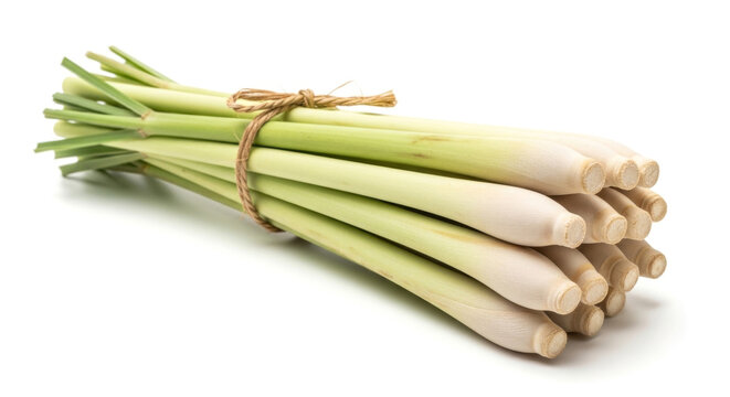 Fresh Bunch of Lemongrass Tied with Twine, Showcasing Its Vibrant Green Stalks and Aromatic Qualities Concept Delicious Food