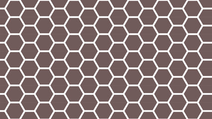 Fototapeta premium Hexagonal tile pattern in gray and white