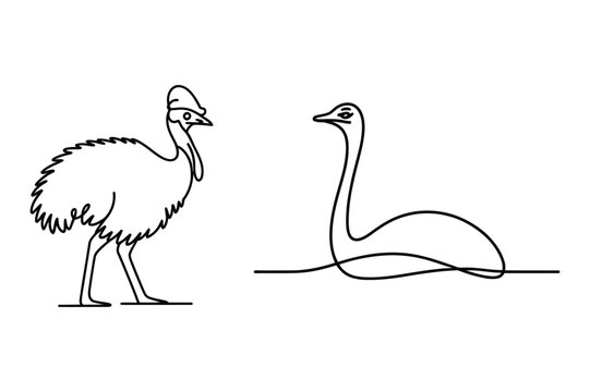 Line art illustration of a cassowary bird and a mythical plesiosaur