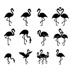 Obraz premium Flamingos are standing and flying in a wildlife scene with various poses.