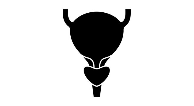 Black silhouette icon of the human urinary bladder and prostate gland.