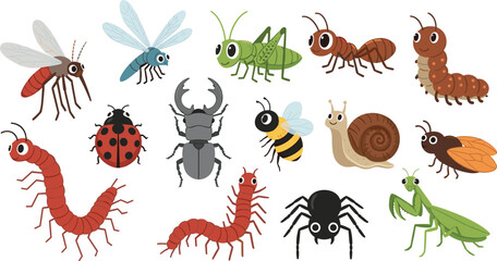 Cartoon bug and insect collection set with beetles ants spider snail and centipede vector illustration © Prodip