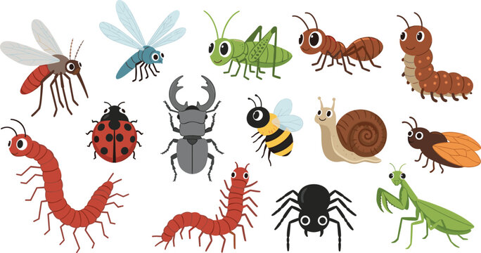 Cartoon bug and insect collection set with beetles ants spider snail and centipede vector illustration