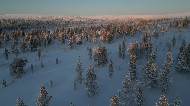 Aerial 4k drone flight of a beautiful winterlandscape at sunset closeby Fell Centre Kiilopaa, Finland