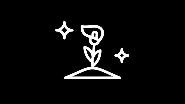 Simple white line art of a calla lily growing from the ground with sparkles