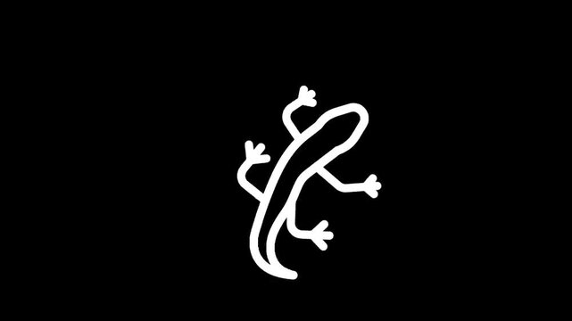 Simple white outline drawing of a lizard on a black background