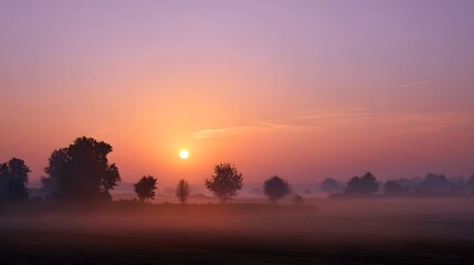Obraz premium A stunning sunrise view displaying a veil of mist settling over a dark field of trees against a radiant gradient sky