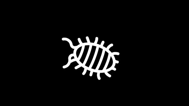 Simple white line drawing of a pill bug on a black background