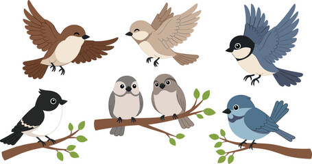 Cute birds collection with flying and perched songbirds cartoon vector illustration set © Prodip