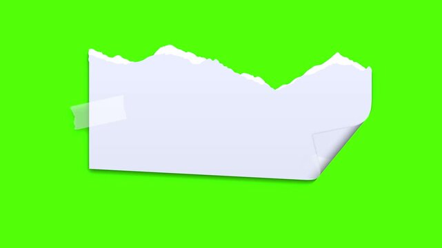 Torn Note on Green: A simple note ripped, attached to a surface with tape, set against an intense green backdrop, conveying a message of fragility and impermanence.