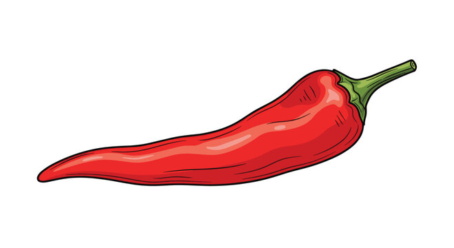 A vibrant and sharp illustration of a single red chili pepper, featuring its smooth, glossy skin and elongated, gently curved shape, emphasizing its fiery essence.