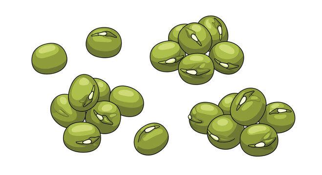 A collection of small, round green mung beans, scattered in various piles, highlighting their natural and wholesome appearance, ideal for healthy cooking and ingredient themes.