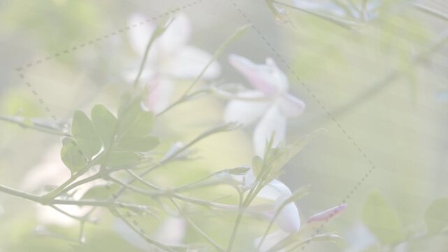 Soft breeze wafting through patterned veil, pale flowers shifting focus and revealing fine detail