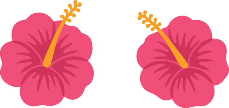 Pink hibiscus flower vector illustration.