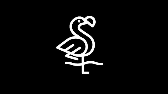 Minimalist white dodo bird outline logo on a black background