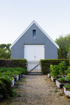 Grey shed is sitting centered in garden on gravel path with white doors, gate, raised beds